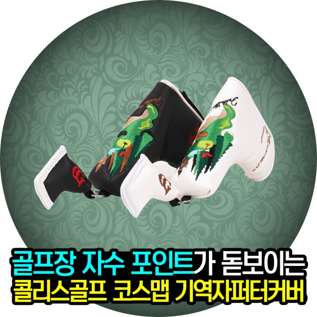 콜리스 이미지