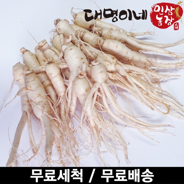 금산인삼영농조합 이미지