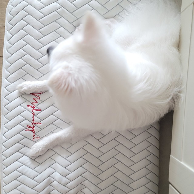 마브 주식회사 이미지