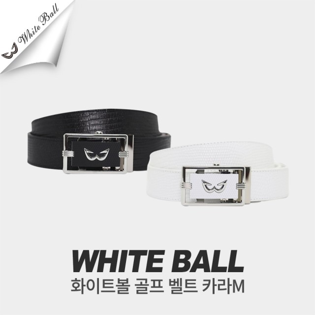 디지지에스 이미지
