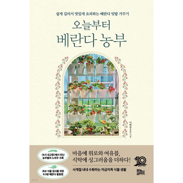 솔룸 이미지