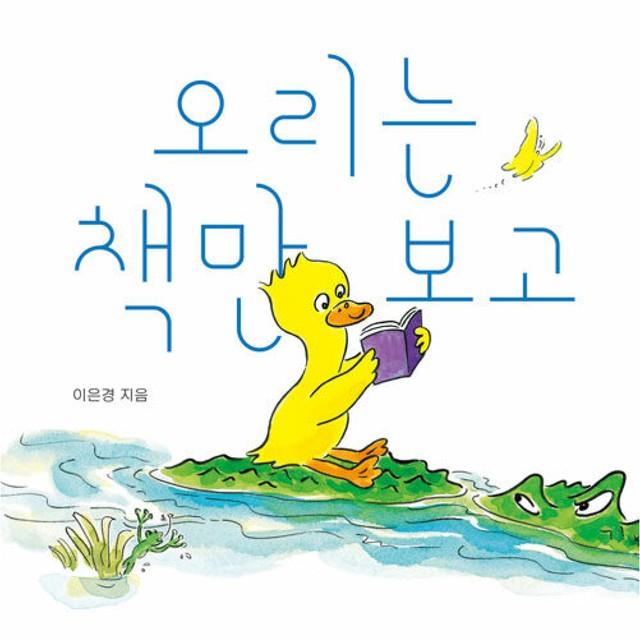 보림 이미지