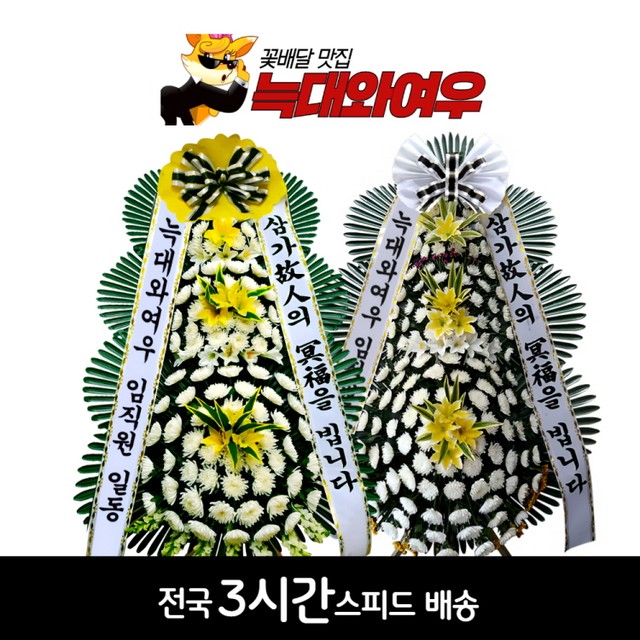 강릉아나병원장례식장 이미지