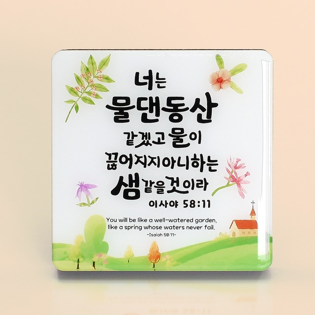 피드 이미지