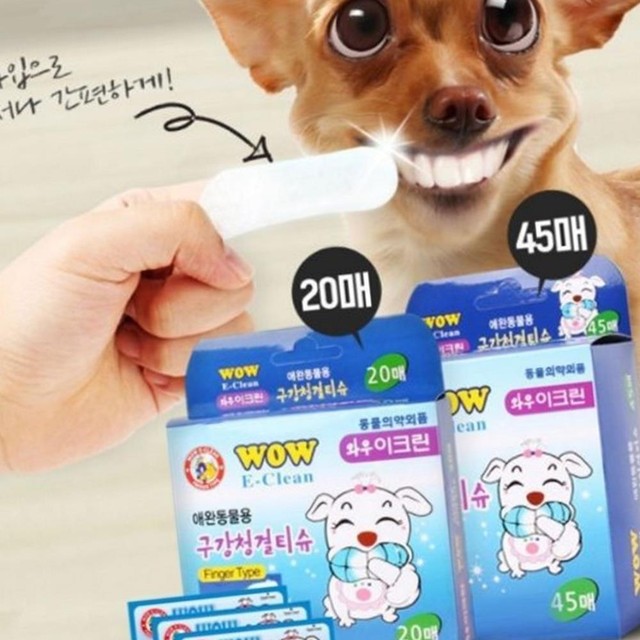 참 이미지
