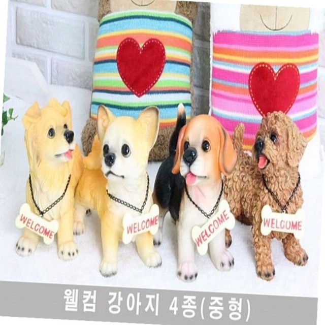 몽이랑 이미지
