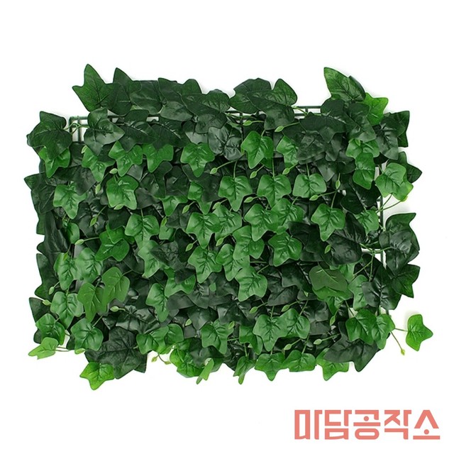 아이비상점 이미지