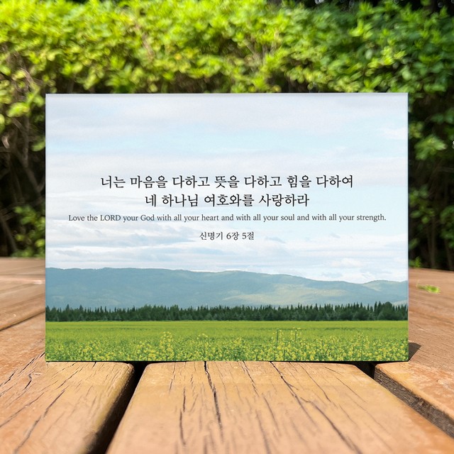 스미다 이미지