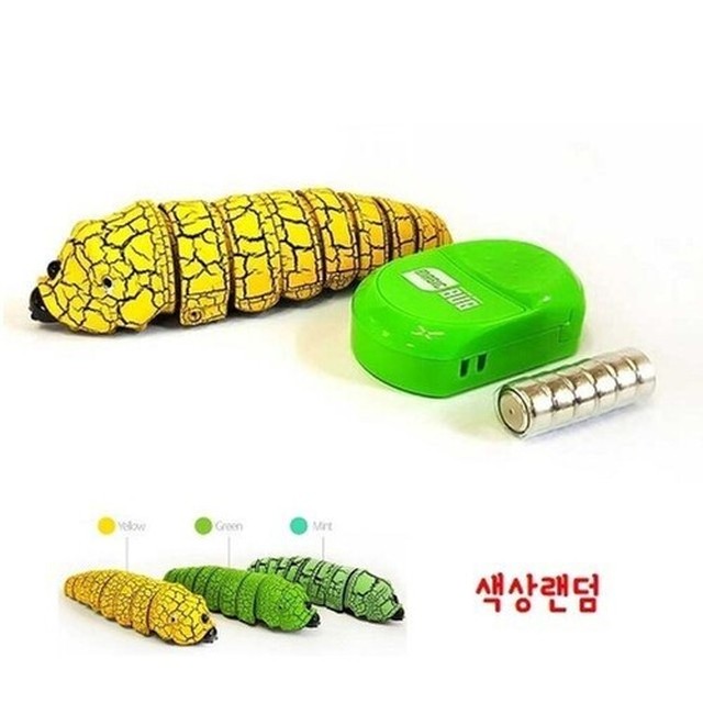리모트 이미지