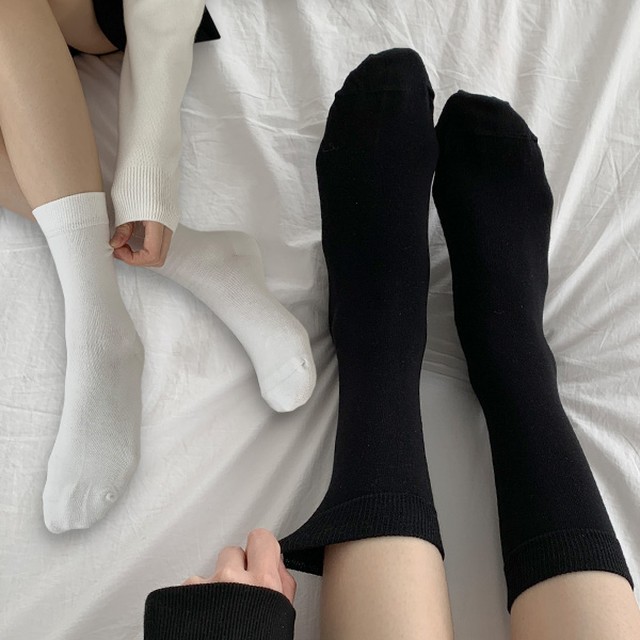 수앤수 이미지