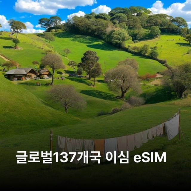 (주)뜨거운청춘 이미지