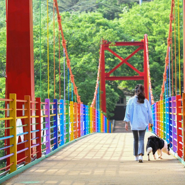 세계테마여행사 이미지
