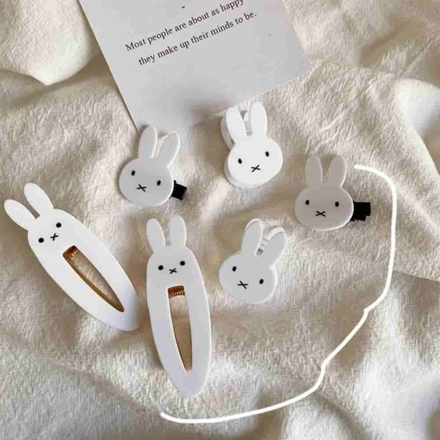 헤어레빗 이미지