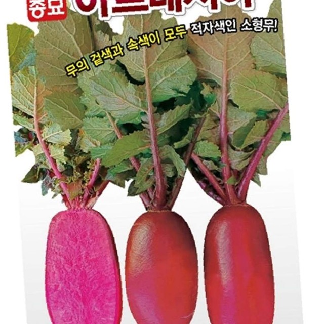 샐러립 이미지