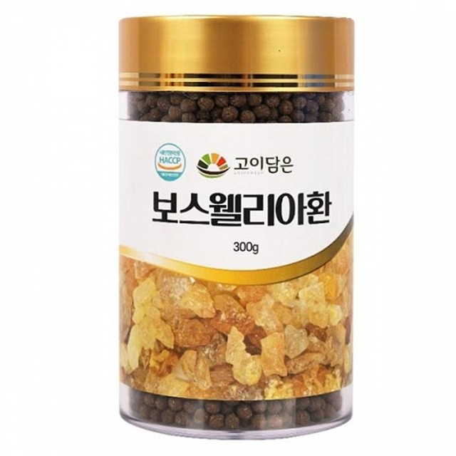 고이 이미지