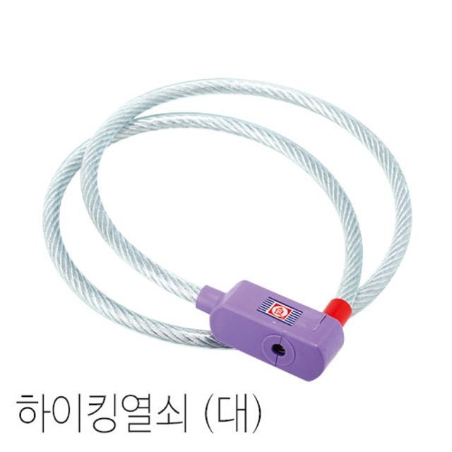 금강열쇠 이미지