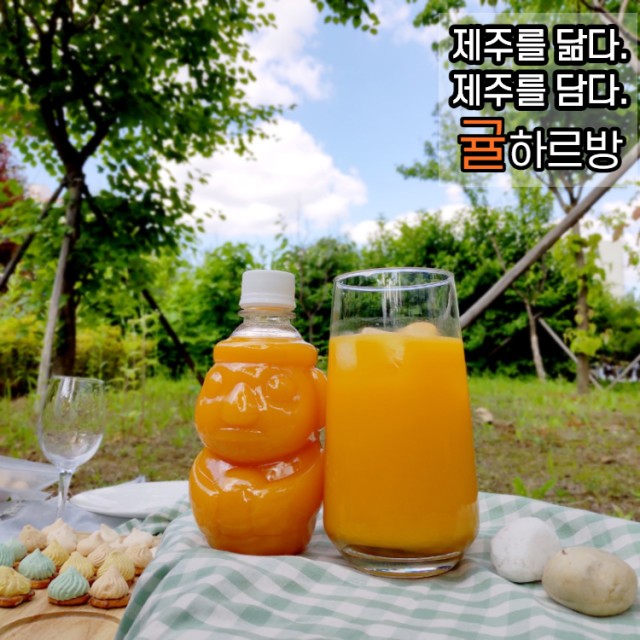 귤하르방 이미지