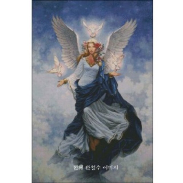 sun천사 이미지