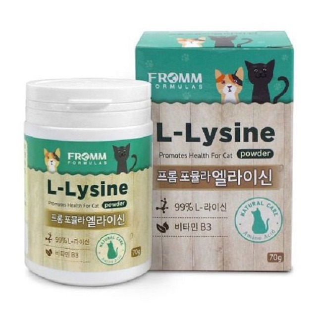 프롬제이제이 이미지