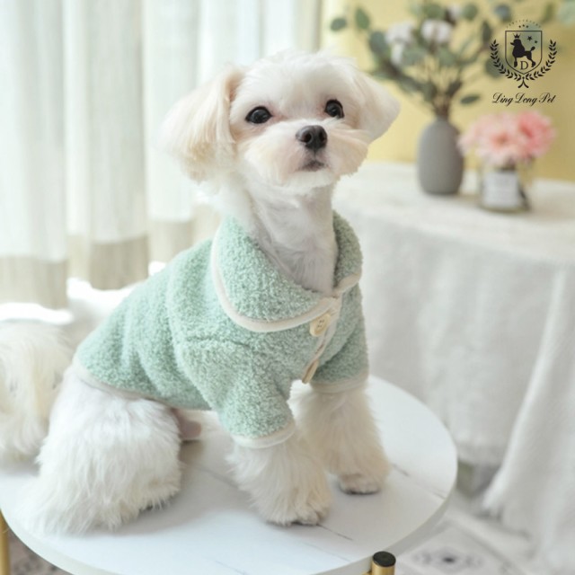 딩동 이미지