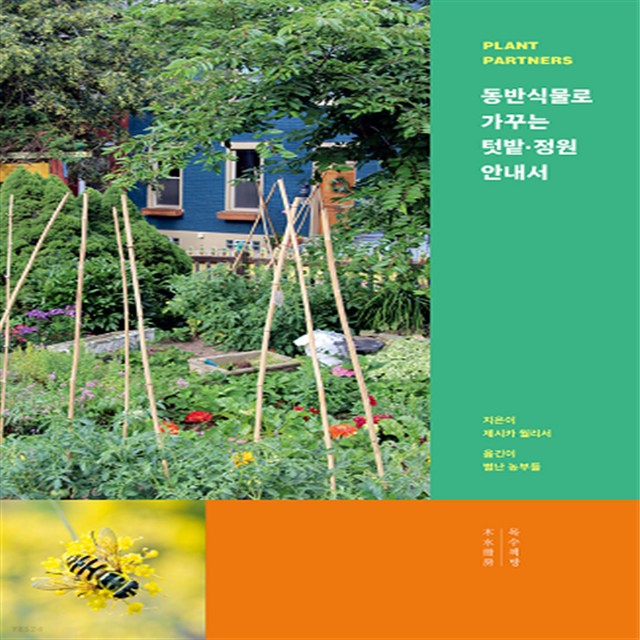 월리 이미지