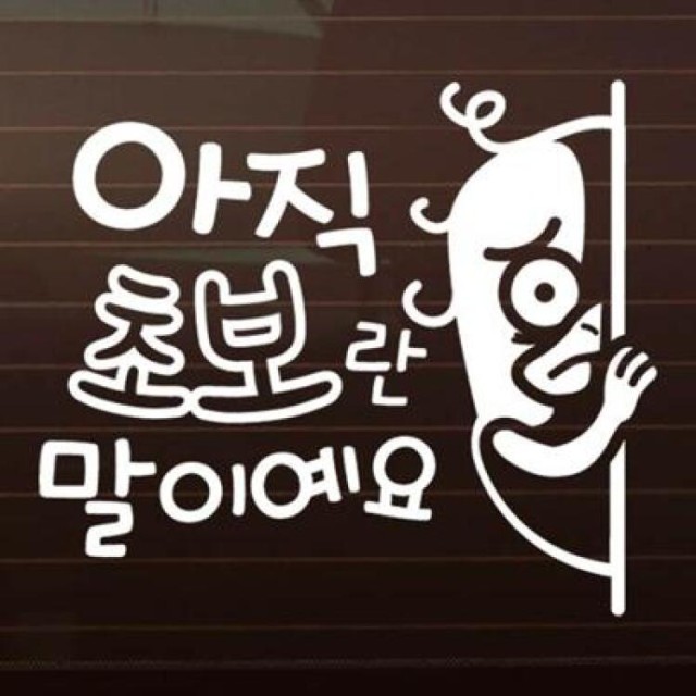 제제 이미지