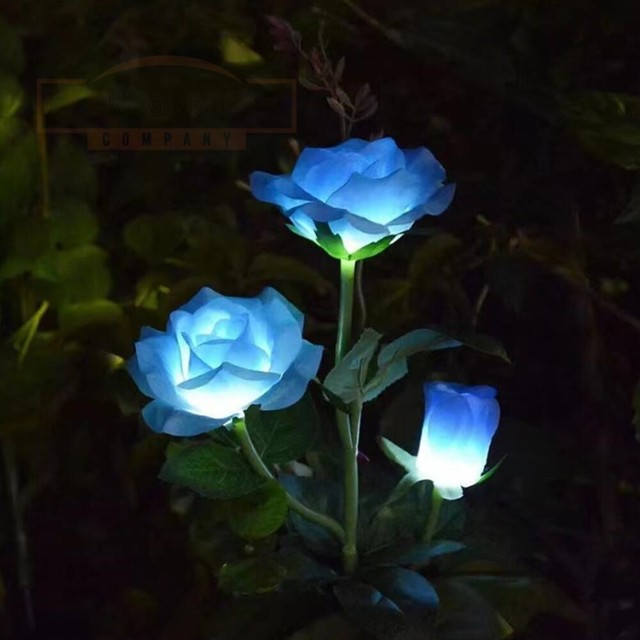 케이조경 이미지