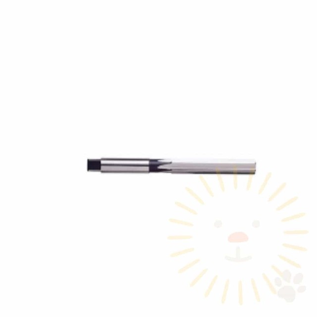단디 이미지