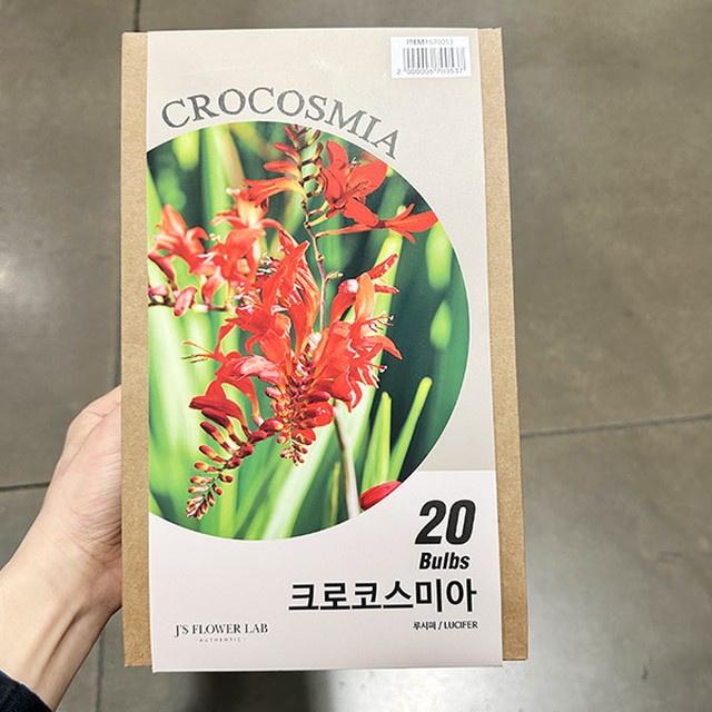 제이스플라워 이미지