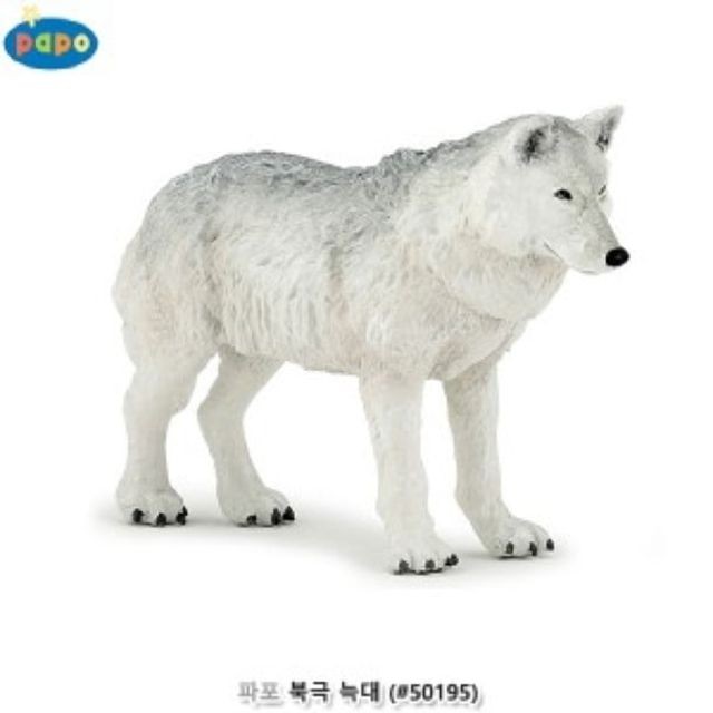 북극늑대 이미지