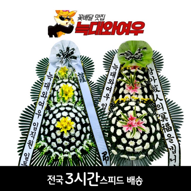 경상남도마산의료원 이미지