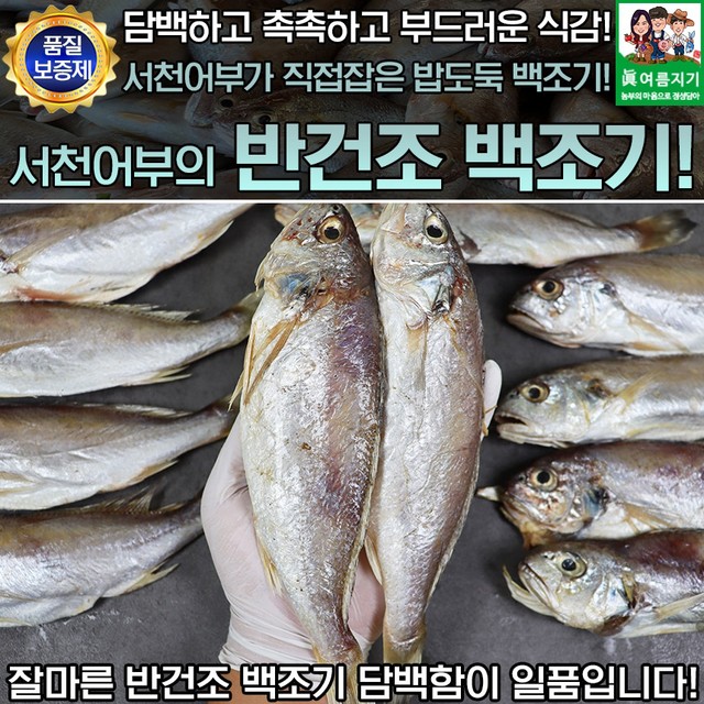 에바다 이미지