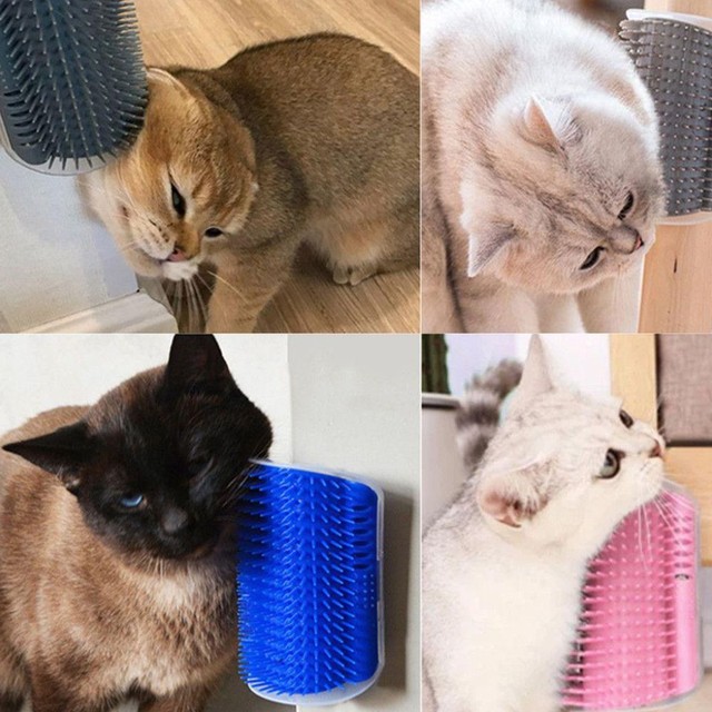 킴스팩토리 이미지