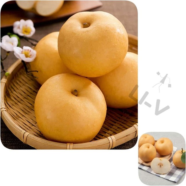 리블랑 이미지