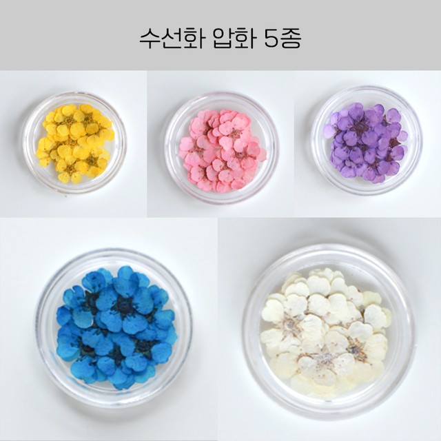 다온플라워 이미지