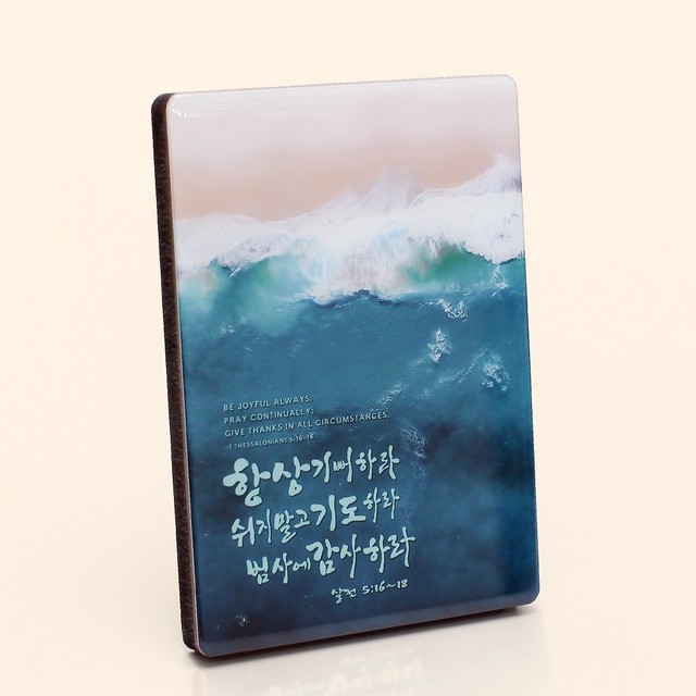피드 이미지