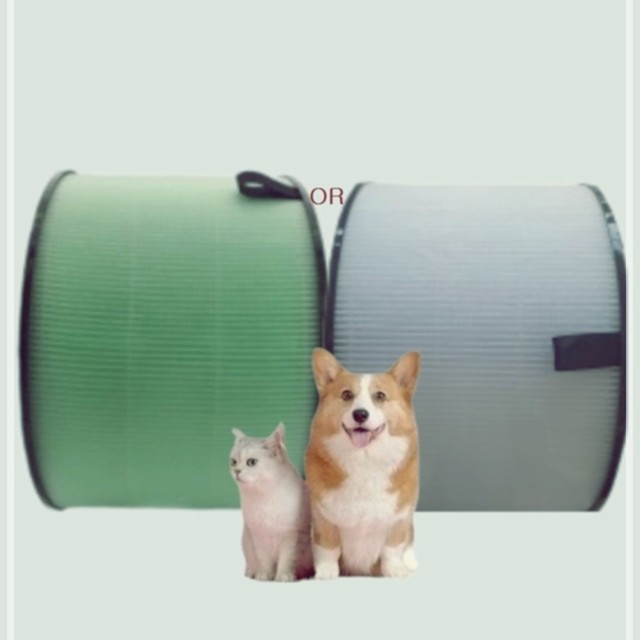 필DNP 이미지