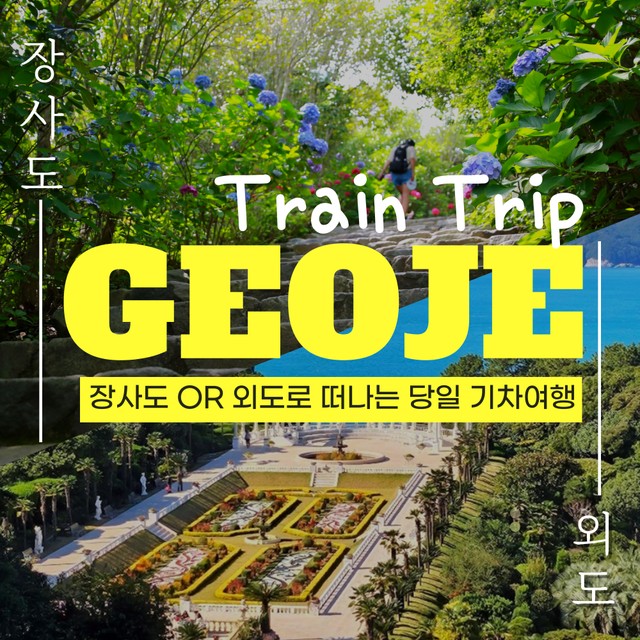 동백관광여행사 이미지