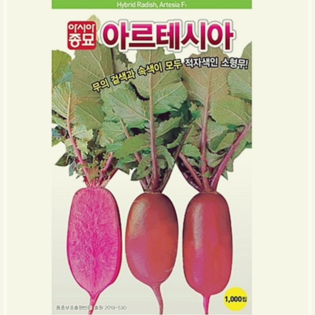 샐러립 이미지