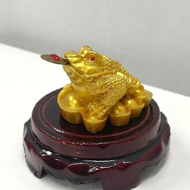 스튜디오두꺼비 이미지