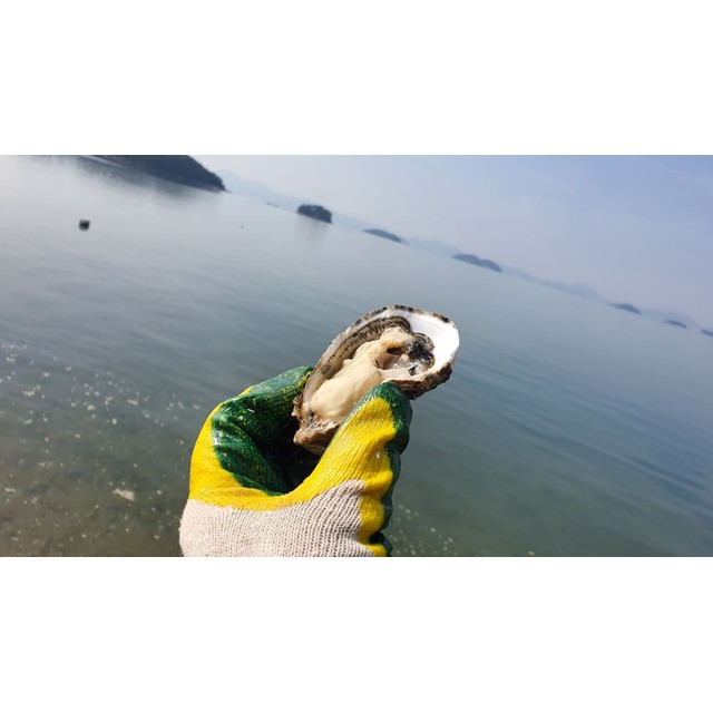 이지몰 이미지