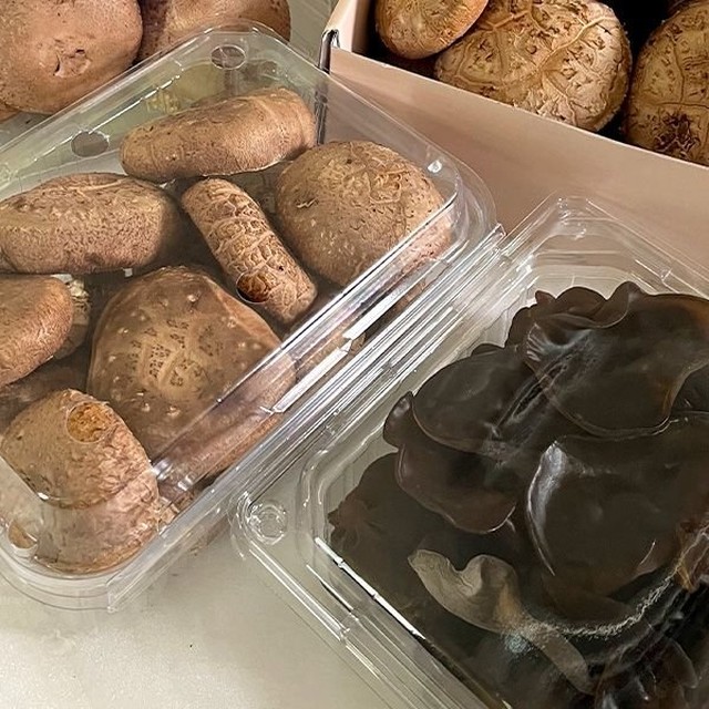 남영농원 이미지