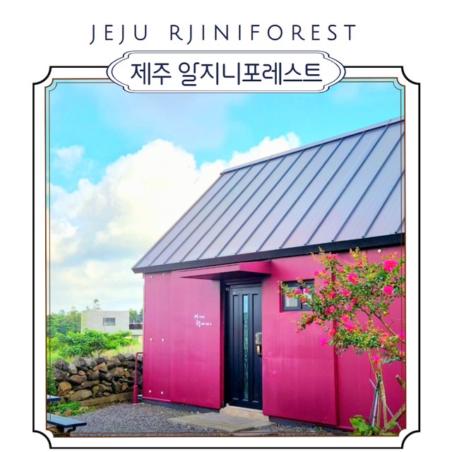 알지니포레스트 이미지