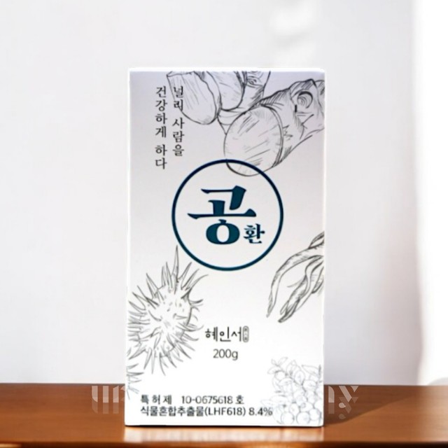 공21 이미지