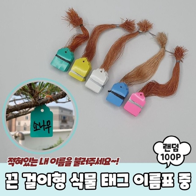 식물A 이미지