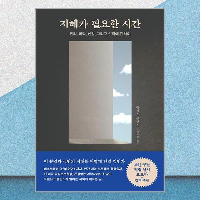포이에마 이미지