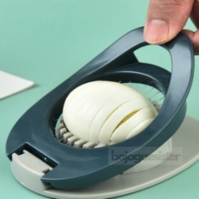 자매 이미지