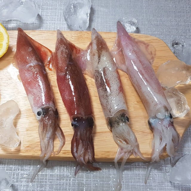 주식회사 한상 이미지