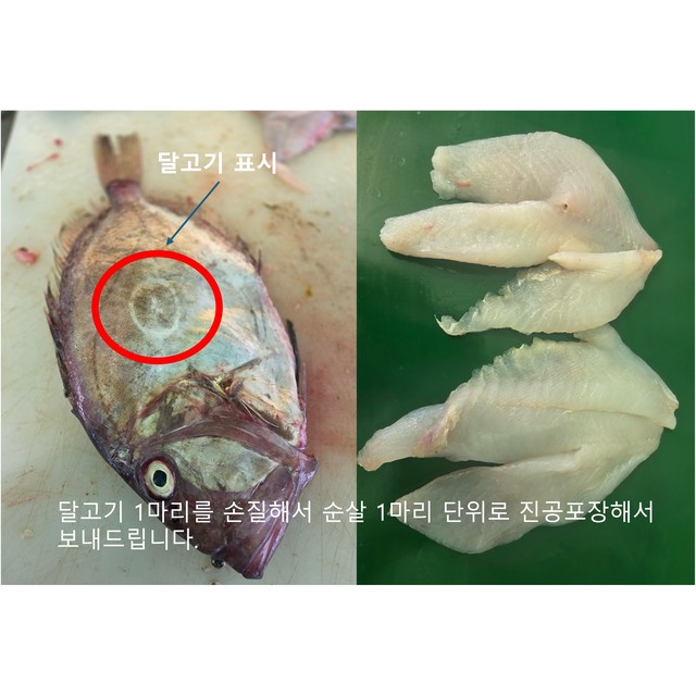 전까스 이미지