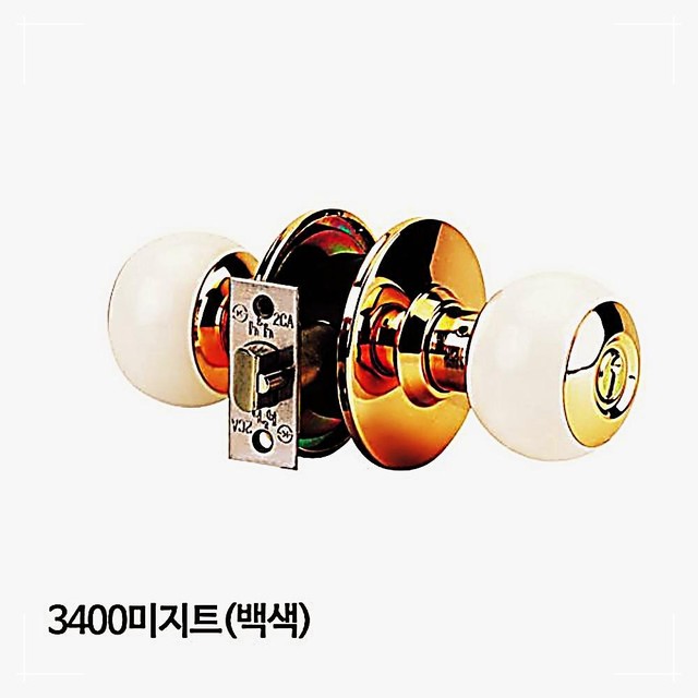 미지트 이미지